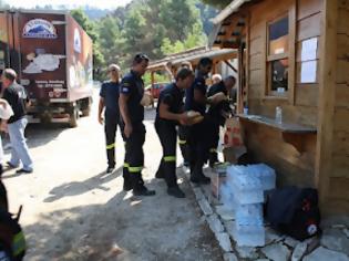 Φωτογραφία για Το Συντονιστικό Συλλόγων και Φορέων Σταγείρων-Ακάνθου για τη φωτιά στο Άγιο Όρος