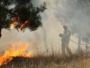 Φωτογραφία για Εκτός ελέγχου μαίνεται η πυρκαγιά στην Κύπρο