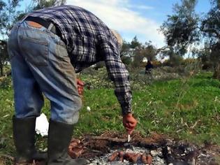 Φωτογραφία για Οικονομική ενίσχυση στους αγρότες