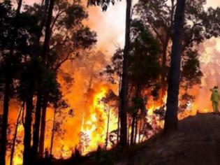 Φωτογραφία για ΠΡΙΝ ΛΙΓΟ: Φωτιά στη Λακωνία