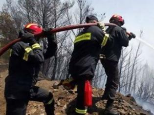 Φωτογραφία για Επίγειες δυνάμεις πυρόσβεσης παραμένουν στο Άγιο Όρος