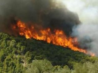 Φωτογραφία για Υπό 8ήμερη κράτηση τρεις Τουρκοκύπριοι για τη φωτιά στον Αγ. Συλά