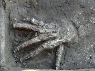Φωτογραφία για Κομμένα χέρια σε αρχαίο παλάτι της Αιγύπτου