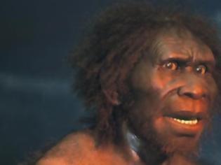 Φωτογραφία για Homo erectus: Ο κατακτητής της Γης