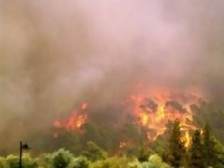 Φωτογραφία για EKTAKTO: Πυρκαγιά στη Χίο