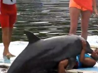 Φωτογραφία για VIDEO: Δελφίνι προσγειώθηκε... στα πόδια της
