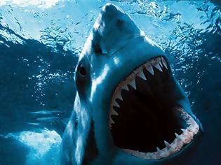 Φωτογραφία για Ψάρεψε καρχαρία στην Κρήτη [ΦΩΤΟ]