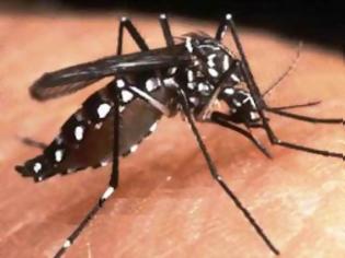 Φωτογραφία για Ένα επιβεβαιωμένο κρούσμα του Ιού του Δυτικού Νείλου στην Καβάλα