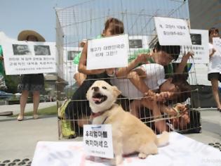 Φωτογραφία για Ν.Κορέα: Τρώνε σκυλιά για να αντέξουν τη ζέστη?!!