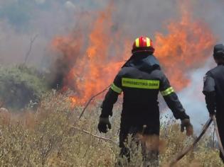 Φωτογραφία για Προσοχή: Μεγάλος κίνδυνος πυρκαγιάς σήμερα για πολλές περιοχές