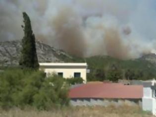 Φωτογραφία για ΧΙΟΣ: ΣΚΑΒΟΥΝ ΧΑΝΤΑΚΙΑ ΜΕ ΤΣΑΠΕΣ...