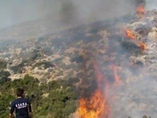 Φωτογραφία για Υπό μερικό έλεγχο η φωτιά στην Κορινθία
