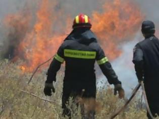 Φωτογραφία για Σε εξέλιξη η φωτιά στην περιοχή Πανόραμα Κεχριών Κορινθίας