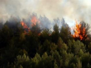 Φωτογραφία για Φωτιά στα Καλύβια Αττικής  και στο Ρέθυμνο