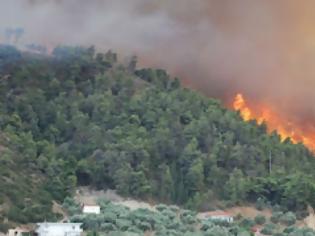 Φωτογραφία για Συνελήφθη 37χρονος που κατηγορείται για εμπρησμούς στη Ρόδο