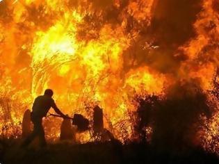 Φωτογραφία για Σε εξέλιξη πυρκαγιά στη Λακωνία