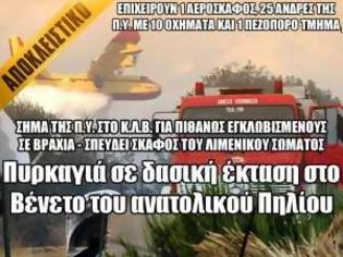 Φωτογραφία για Πυρκαγιά σε δασική έκταση στο Βένετο του ανατολικού Πηλίου