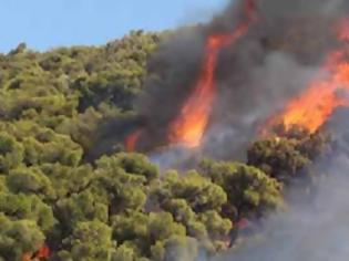 Φωτογραφία για Σε εξέλιξη φωτιές στη Ζάκυνθο!