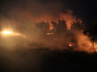 Φωτογραφία για Σε πύρινο κλοιό η μισή Ελλάδα - Συνεχίζουν να καίνε 14 μέτωπα!!!