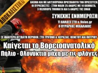 Φωτογραφία για Καίγεται το Βορειοανατολικό Πήλιο - Ολονύκτια μάχη με τις φλόγες