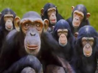 Φωτογραφία για Θέλετε να μάθετε την αλήθεια για τις μαϊμού συντάξεις;