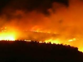 Φωτογραφία για Μαίνεται η πυρκαγιά στο Βορειοανατολικό Πήλιο - Ολονύκτια μάχη με τις φλόγες