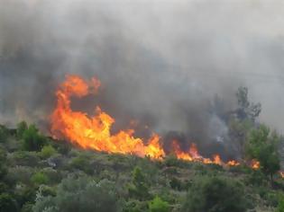 Φωτογραφία για Καίγεται για τρίτη μέρα η Χίος