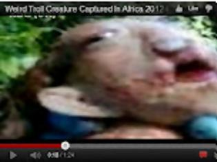 Φωτογραφία για Άγνωστο πλάσμα βρέθηκε στην Ναμίμπια.Video...