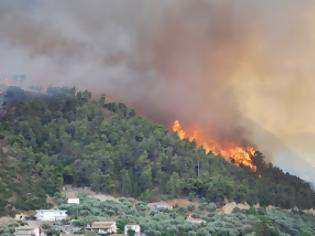 Φωτογραφία για Σε εξέλιξη δασική πυρκαγιά στο Σολομό Κορινθίας
