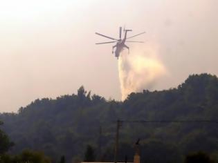 Φωτογραφία για Δύο συλλήψεις αλλοδαπών για τη φωτιά στην Άνδρο