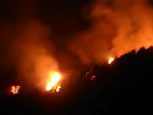 Φωτογραφία για Πάτρα: Υπό μερικό έλεγχο τέθηκε η φωτιά στην Άνω Καλλιθέα