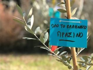 Φωτογραφία για Ανάγκη για αναμόρφωση του Ελαιώνα μετά τον καθαρισμό της περιοχής