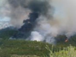 Φωτογραφία για Eλέγχεται η μεγάλη φωτιά στην Παραβόλα Αγρινίου