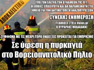 Φωτογραφία για Σε ύφεση η πυρκαγιά στο Βορειοανατολικό Πήλιο