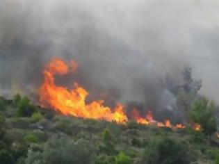 Φωτογραφία για Σε εξέλιξη τρεις πυρκαγιές στην Πελοπόννησο