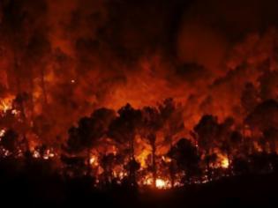 Φωτογραφία για Τουρίστες αφόδευσαν και έκαψαν την Άνδρο!