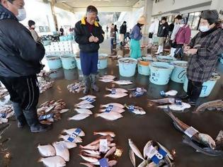 Φωτογραφία για Ψάρια με ραδιενέργεια σε επίπεδα ρεκόρ κοντά στη Φουκουσίμα