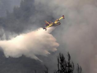 Φωτογραφία για ΑΛΛΟ ΠΥΡΙΝΟ ΜΕΤΩΠΟ ΣΤΗ ΖΑΚΥΝΘΟ...