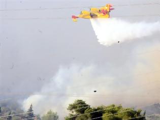 Φωτογραφία για Ζάκυνθος: Πολλά τα μέτωπα της φωτιάς - μάχη δίνουν οι πυροσβέστες