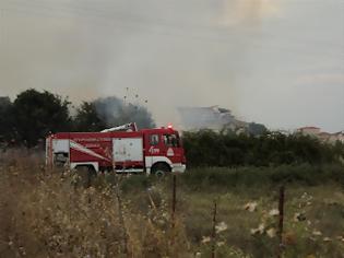 Φωτογραφία για Κλειστή η Ε.Ο. Τρικάλων-Ιωαννίνων, λόγω πυρκαγιάς