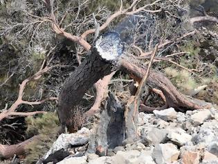 Φωτογραφία για «Η κυβέρνηση άρχισε τις εκπτώσεις στη Χίο»