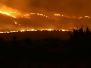 Φωτογραφία για Καίγεται η Πατρίδα μας, καίγεται το Βιό μας ...και δεν φταίει κανείς;