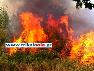 Φωτογραφία για Καλαμπάκα τώρα: Απειλείται ξανά το Ορθοβούνι από την φωτιά - διεκόπη η κυκλοφορία οχημάτων στην Ε.Ο.