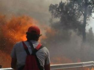 Φωτογραφία για Τρία πύρινα μέτωπα σε όλη τη χώρα