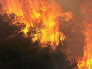 Φωτογραφία για Ηλεία: Φωτιά σε δασική έκταση στις Πόρτες της Βάλμης, αυτή την ώρα