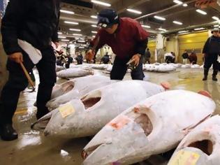 Φωτογραφία για Ραδιενέργεια ρεκόρ σε ψάρια στη Φουκουσίμα
