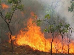 Φωτογραφία για Πολύ υψηλός κίνδυνος πυρκαγιάς για το Σάββατο