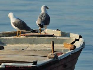 Φωτογραφία για «Κλιματική Αλλαγή και Επιχειρηματικές Ευκαιρίες»