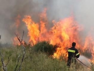 Φωτογραφία για Σε εξέλιξη φωτιά σε Κεφαλονιά και Εύβοια