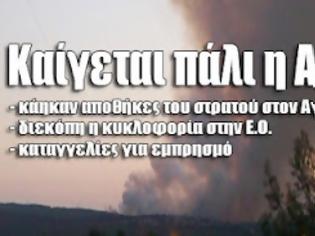 Φωτογραφία για Καπνός «πνίγει» όλη την Αττική από το τεράστιο μέτωπο της φωτιάς - Κάηκαν σπίτια στον Αγιο Στέφανο